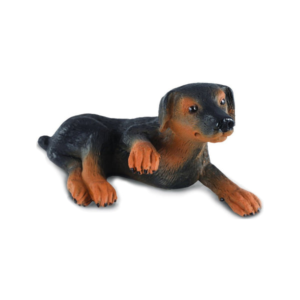 CollectA Doberman Pinscher Puppy