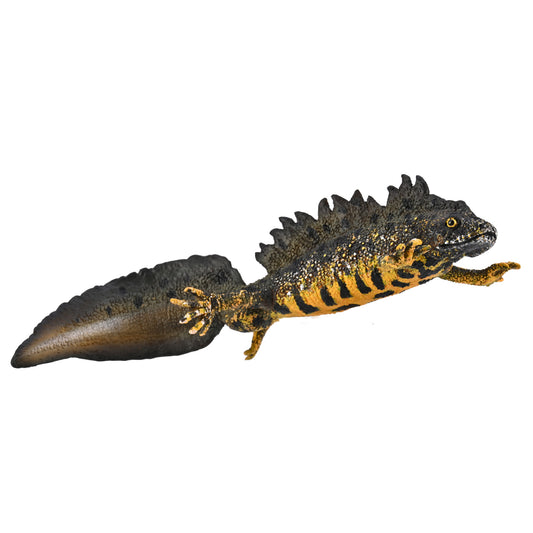 CollectA Great Crested Newt