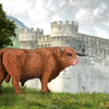 CollectA Highland Bull