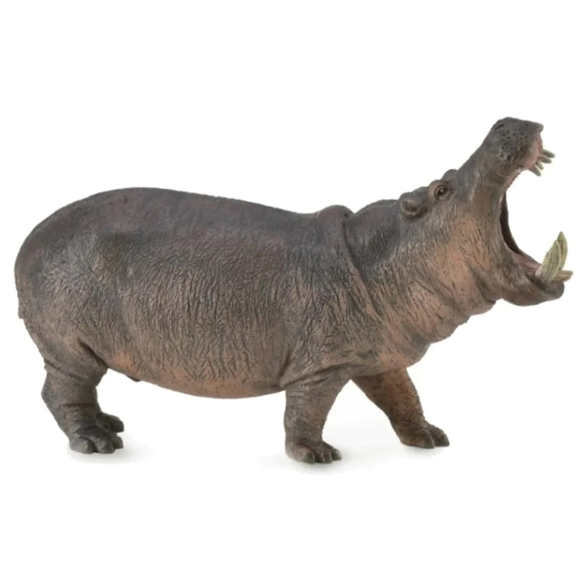 CollectA African Wildlife - 12 piece set