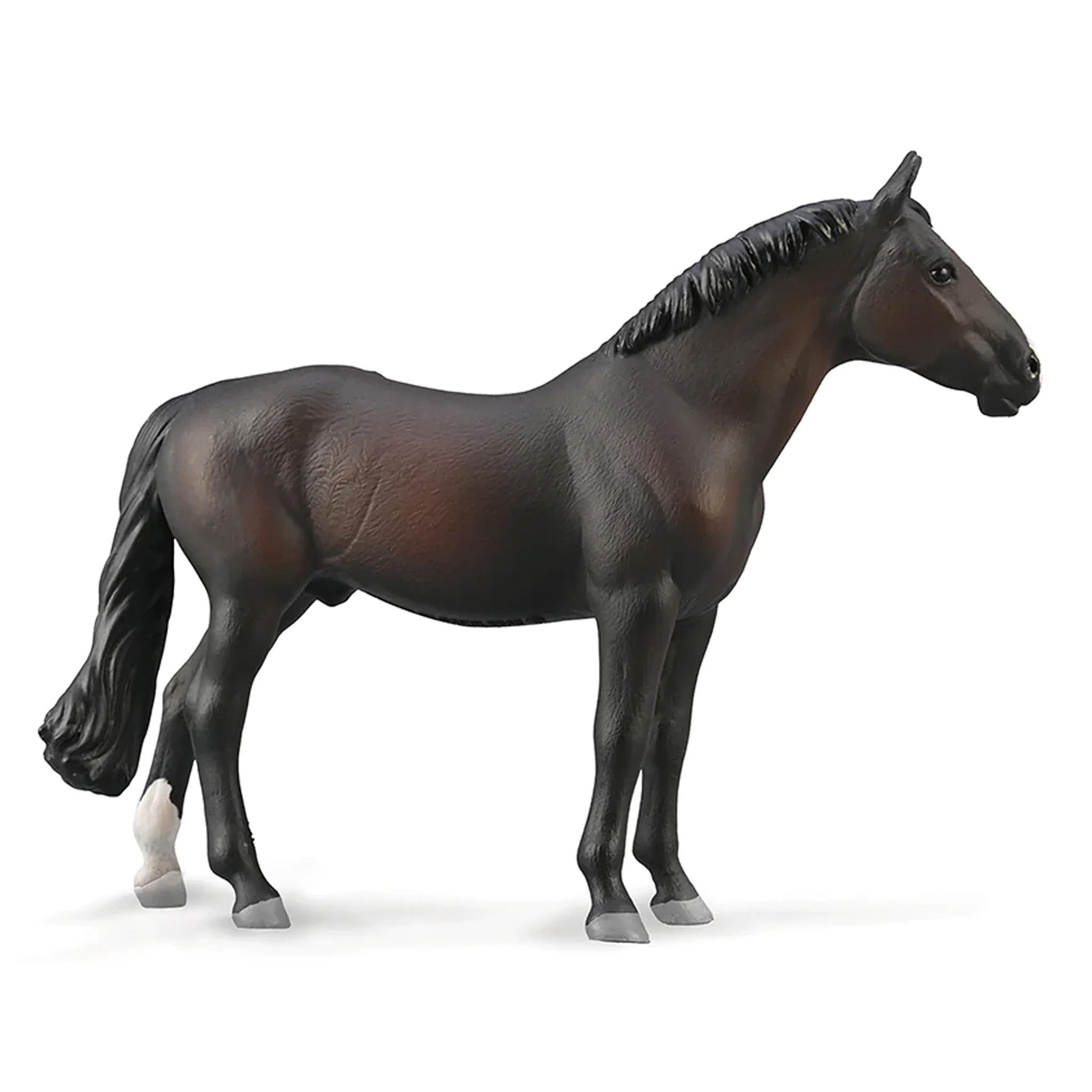 Collecta An CollectA Horses – 8 Piece Set – Animal Kingdoms Toy Store