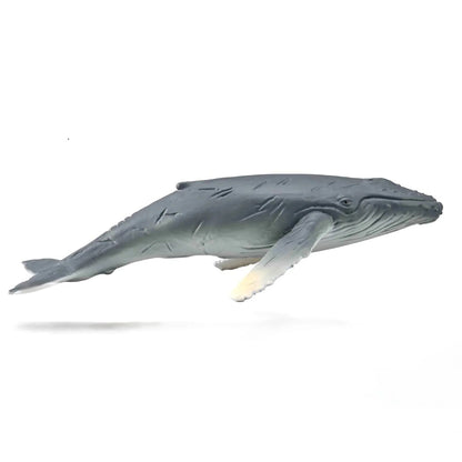CollectA Sea Life - 10 piece set