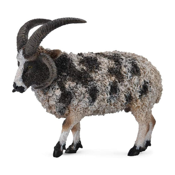 CollectA Jacob Sheep