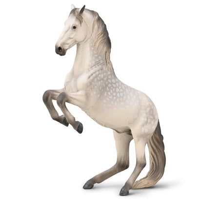 CollectA Lipizzaner Stallion - Dapple Grey