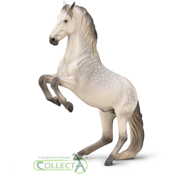 CollectA Lipizzaner Stallion - Dapple Grey
