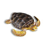 CollectA Sea Life - 10 piece set