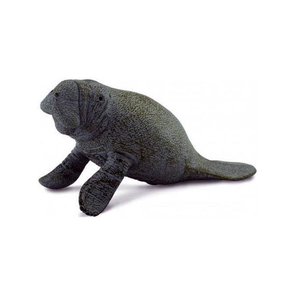 CollectA Manatee Calf Sitting
