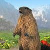 CollectA Marmot