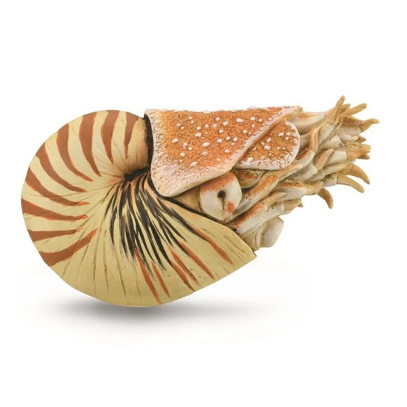 CollectA Nautilus pompilius