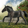 CollectA Nonius Stallion