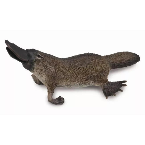 CollectA Platypus