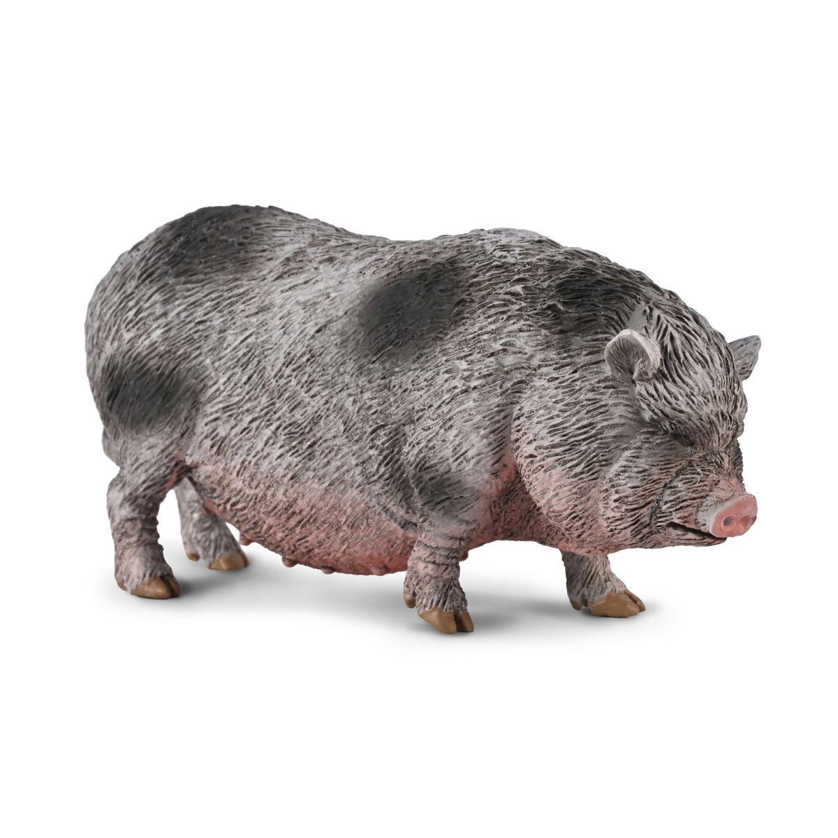 CollectA Pot-bellied Pig
