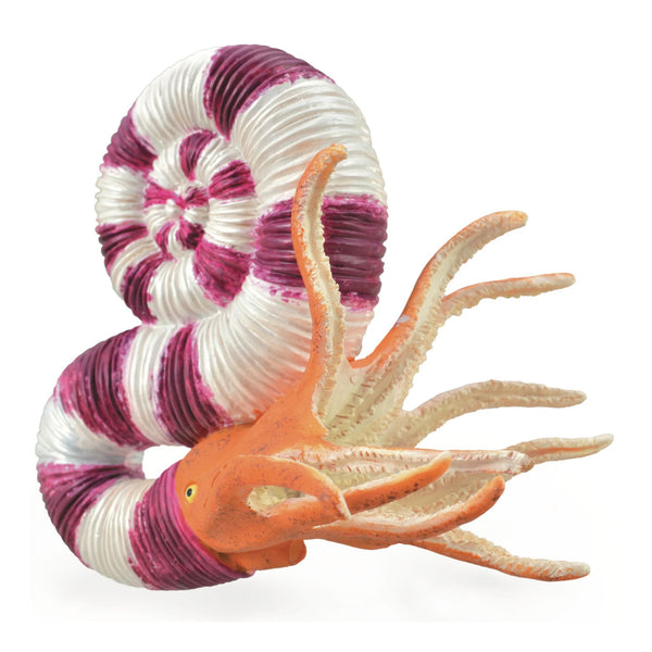 CollectA Pravitoceras