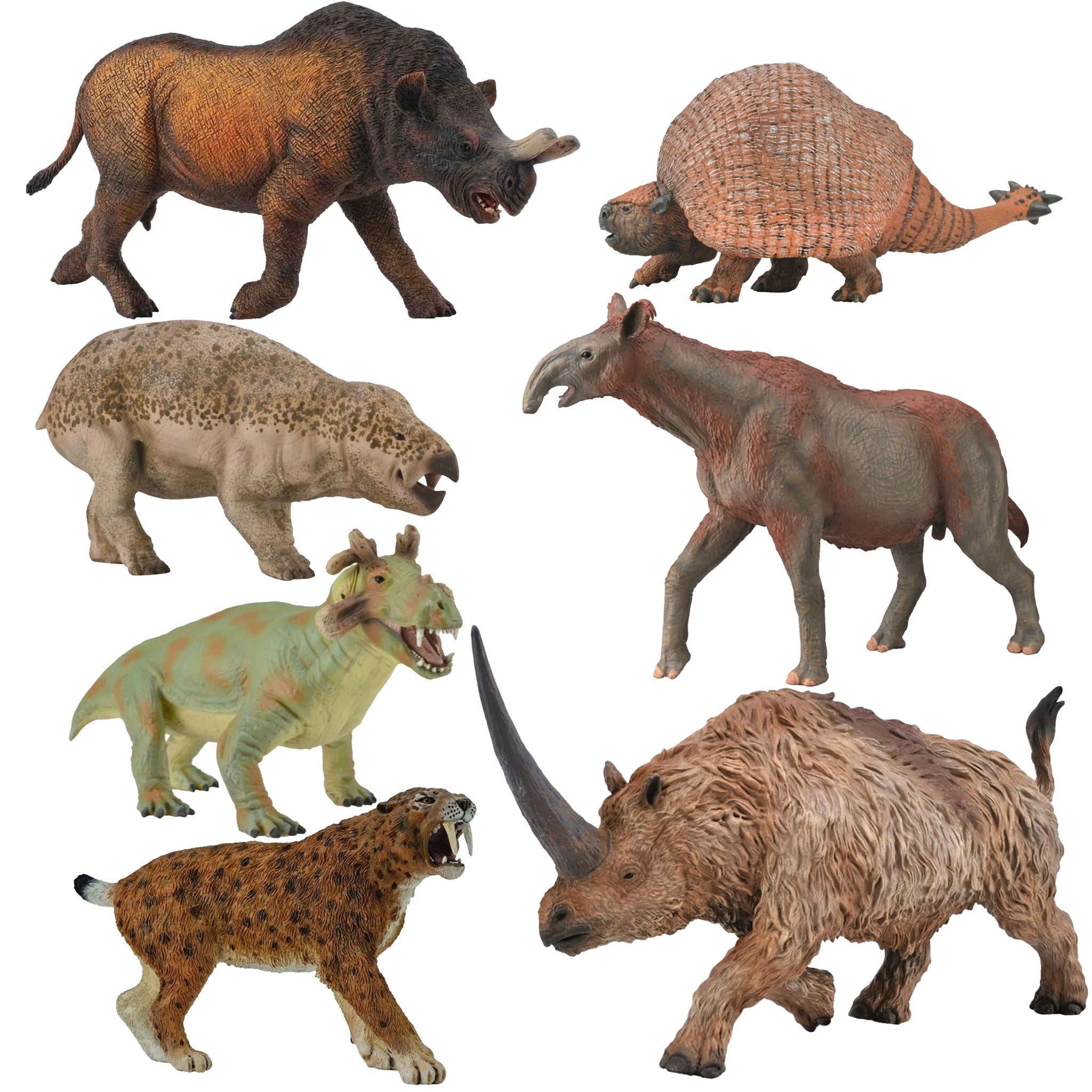 Collecta Store CollectA Prehistoric Beasts - 7 piece set – Animal Kingdoms Toy Store