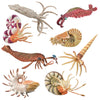 CollectA Prehistoric Marine Creatures - 8 piece set