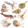 CollectA Prehistoric Marine Creatures - 8 piece set