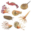 CollectA Prehistoric Marine Creatures - 8 piece set