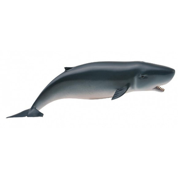 CollectA Pygmy Sperm Whale