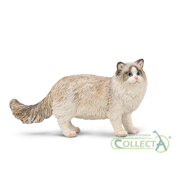 CollectA Ragdoll Cat