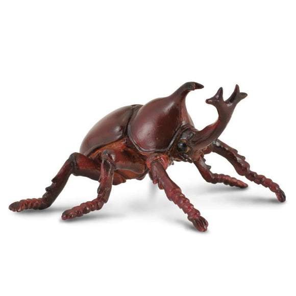 CollectA Rhinoceros beetle