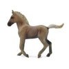 CollectA Rocky Mountain Foal Chocolate