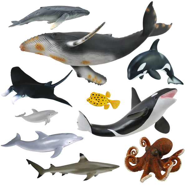 CollectA Sea Life - 10 piece set