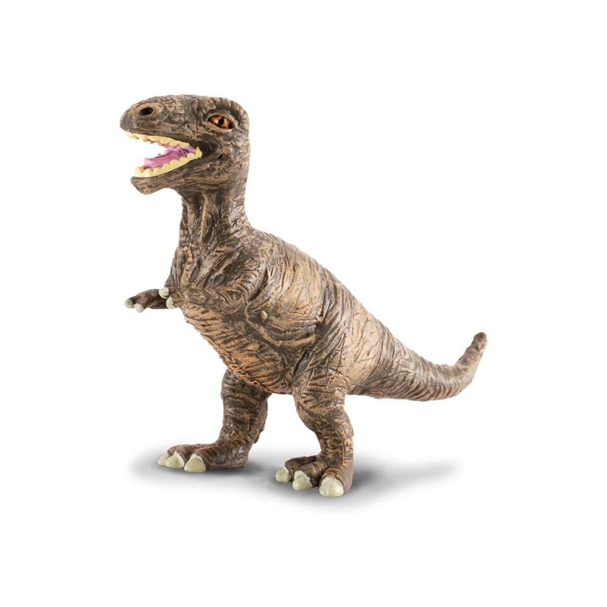 CollectA Tyrannosaurus Rex Baby
