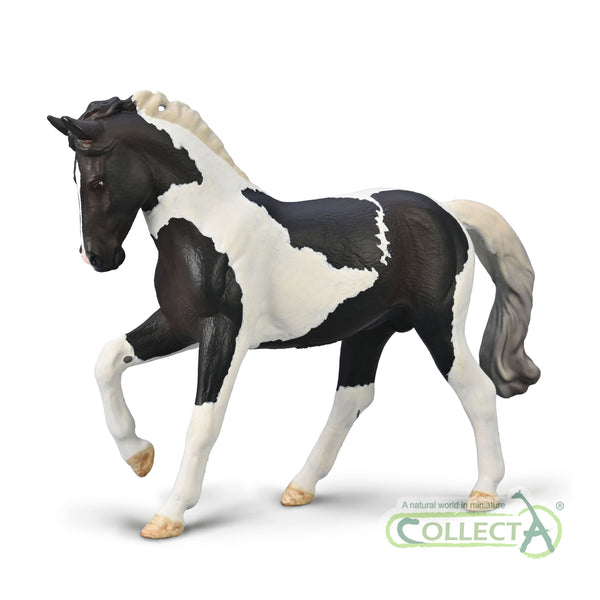 CollectA Warmblood Stallion - Black Tobiano