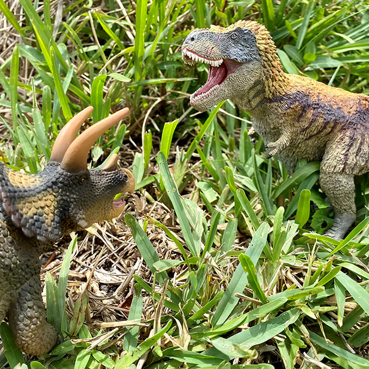 Safari Ltd Dino Dana Feathered Tyrannosaurus Rex