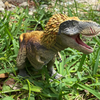 Safari Ltd Dino Dana Feathered Tyrannosaurus Rex