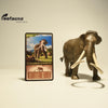 Eofauna Columbian Mammoth
