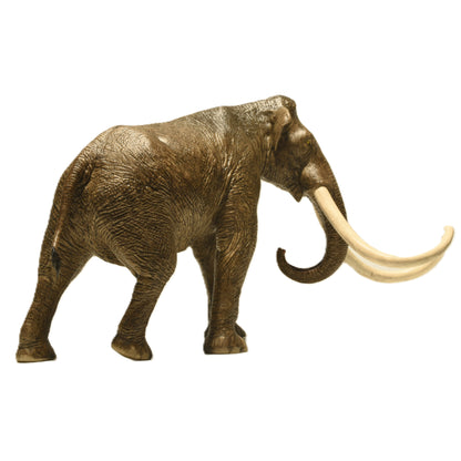 Eofauna Columbian Mammoth