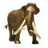 Eofauna Columbian Mammoth