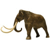 Eofauna Columbian Mammoth
