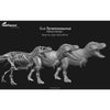 Eofauna Tyrannosaurus Sue