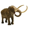 Eofauna American Mastodon