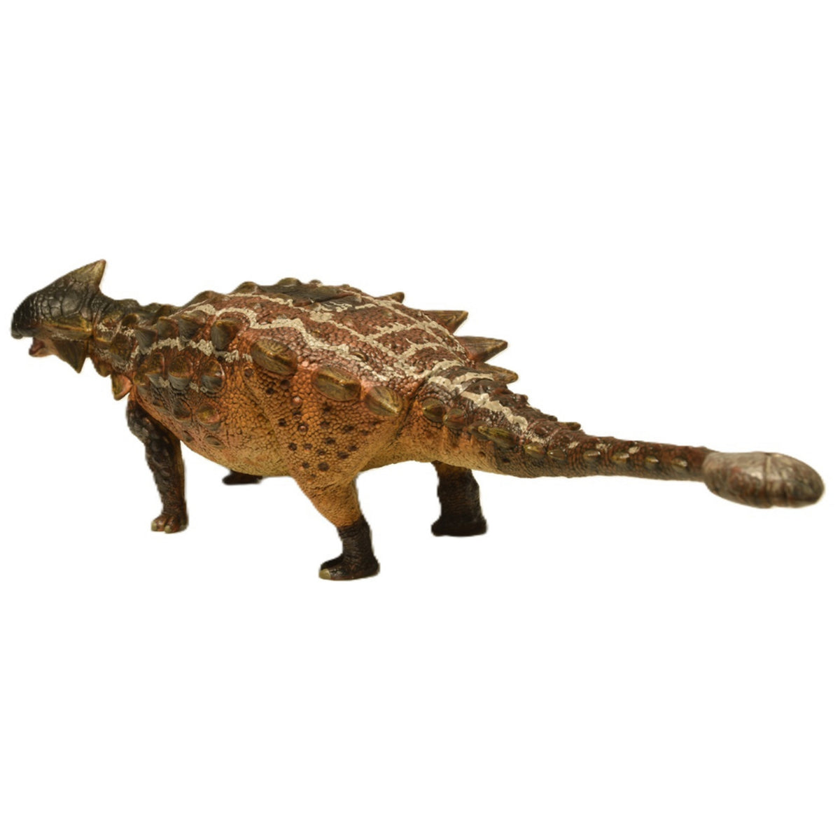 Eofauna Ankylosaurus Magniventris
