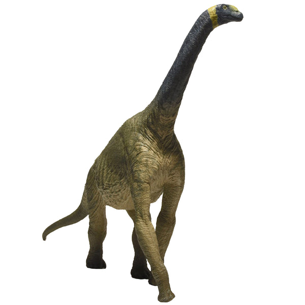 Eofauna Atlasaurus