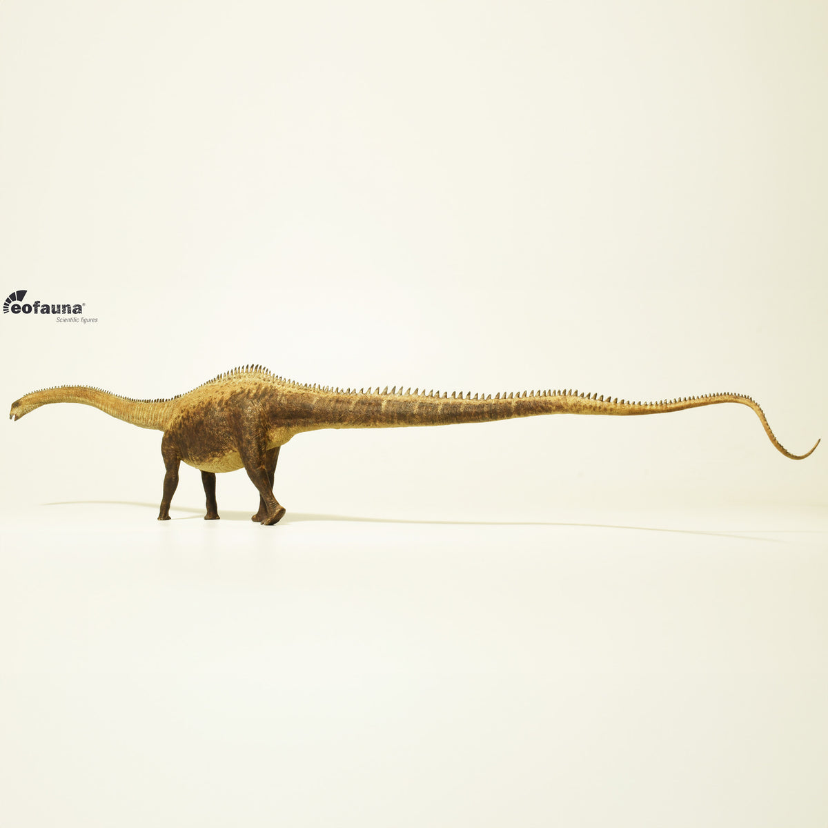 Eofauna Diplodocus