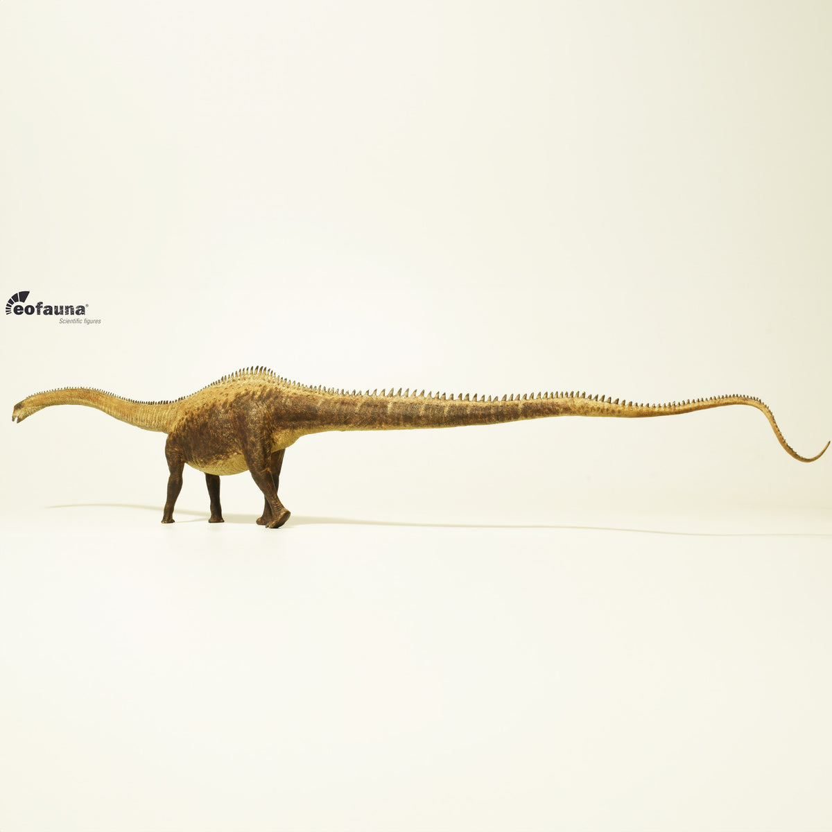 Eofauna Diplodocus
