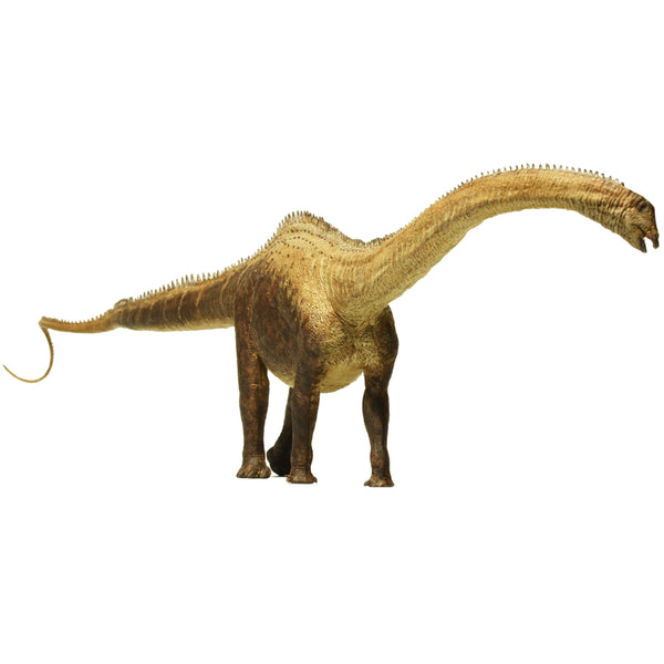 Eofauna Diplodocus