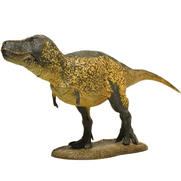 Eofauna Tyrannosaurus Sue