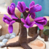 Tara Treasures: Felt Seasonal Tree - Spring