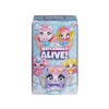 Hatchimals Alive - Family Surprise Mystery Pack