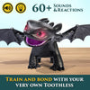 How to Train Your Dragon: Tame & Train Interactive Toothless