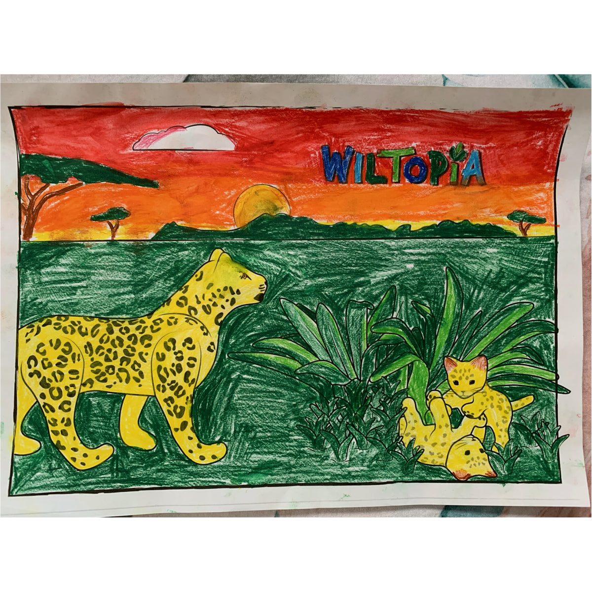 Colouring Competition Wiltopia 2023