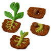 Tara Treasures: Felt Lifecycle of a Bean Plant