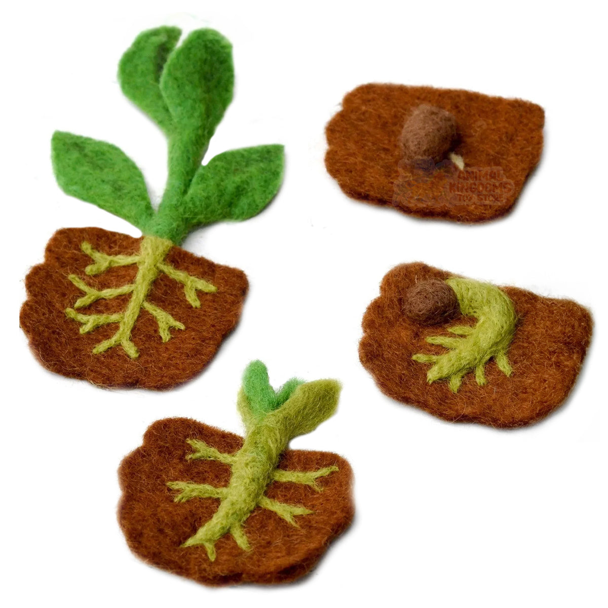 Tara Treasures: Felt Lifecycle of a Bean Plant