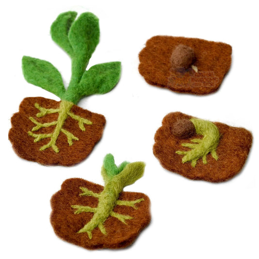 Tara Treasures: Felt Lifecycle of a Bean Plant