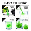 National Geographic Green Crystal Growing Lab